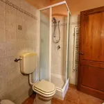 Holiday home Chianti Hillside *