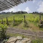 Chianti Hillside *