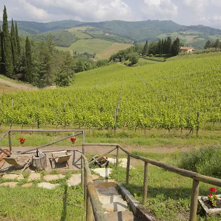 Chianti Hillside Tatil Evi *