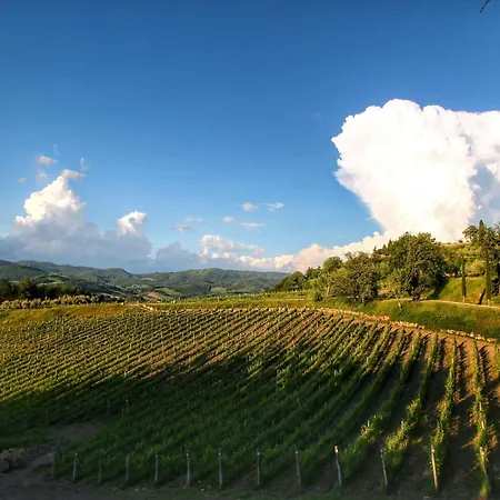 Chianti Hillside Tatil Evi *