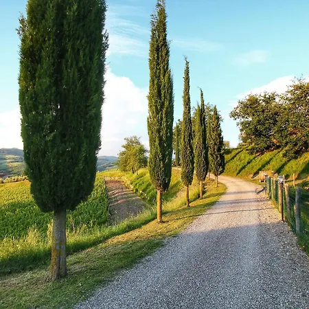 Chianti Hillside