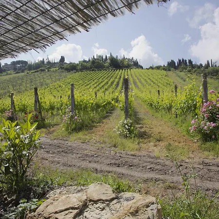 Chianti Hillside *