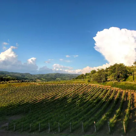 Holiday home Belvilla By Oyo Ulivo Radda in Chianti